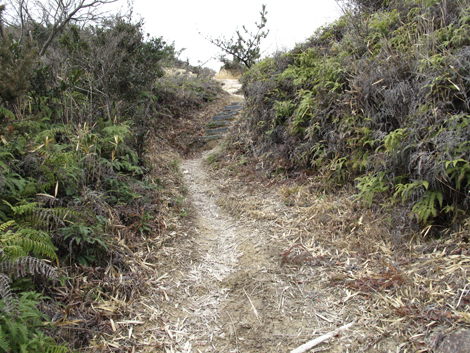 20140125hike (235)